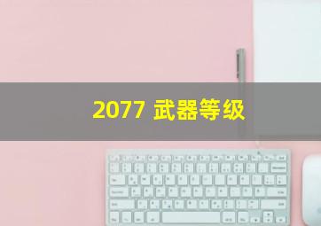 2077 武器等级